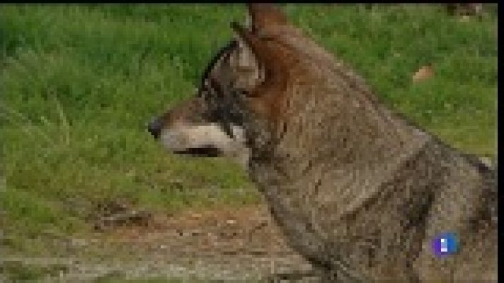 Panorama Regional - Panorama Regional 2 - 18/02/19