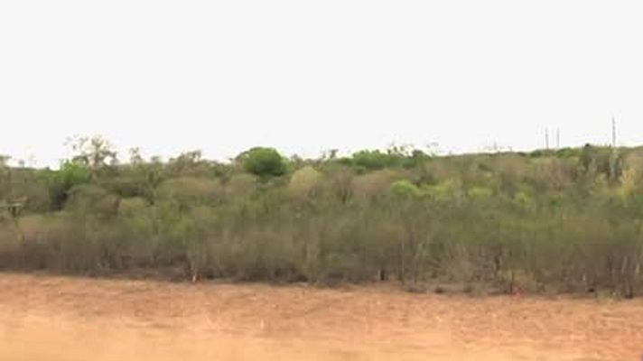 Telediario 1 - El impacto medioambiental del muro de Trump