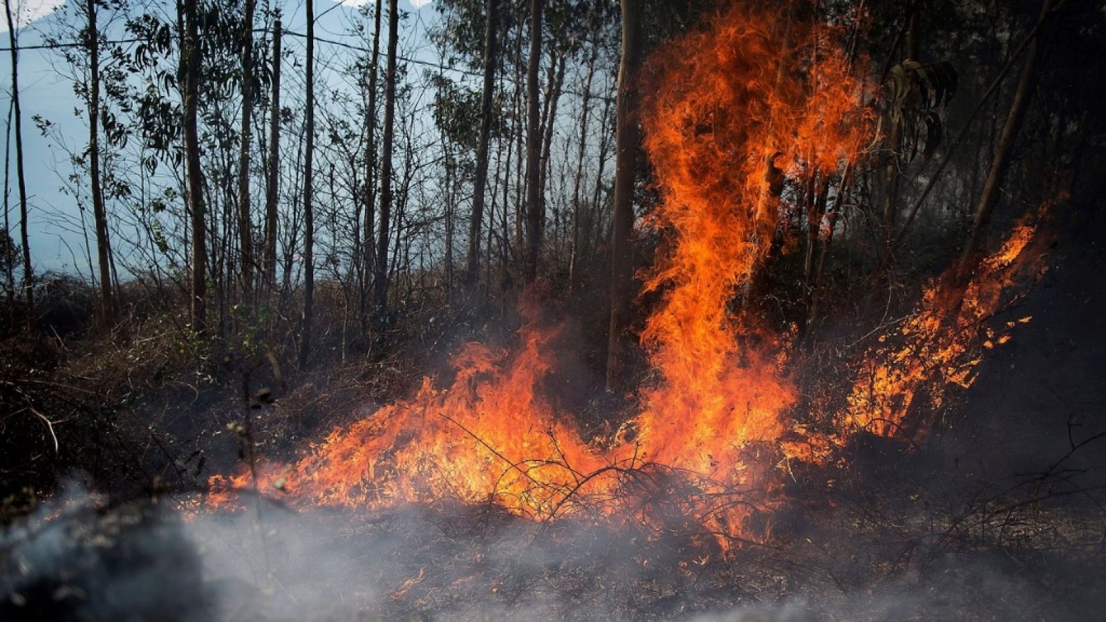 España Directo - 18/02/19 - ver ahora