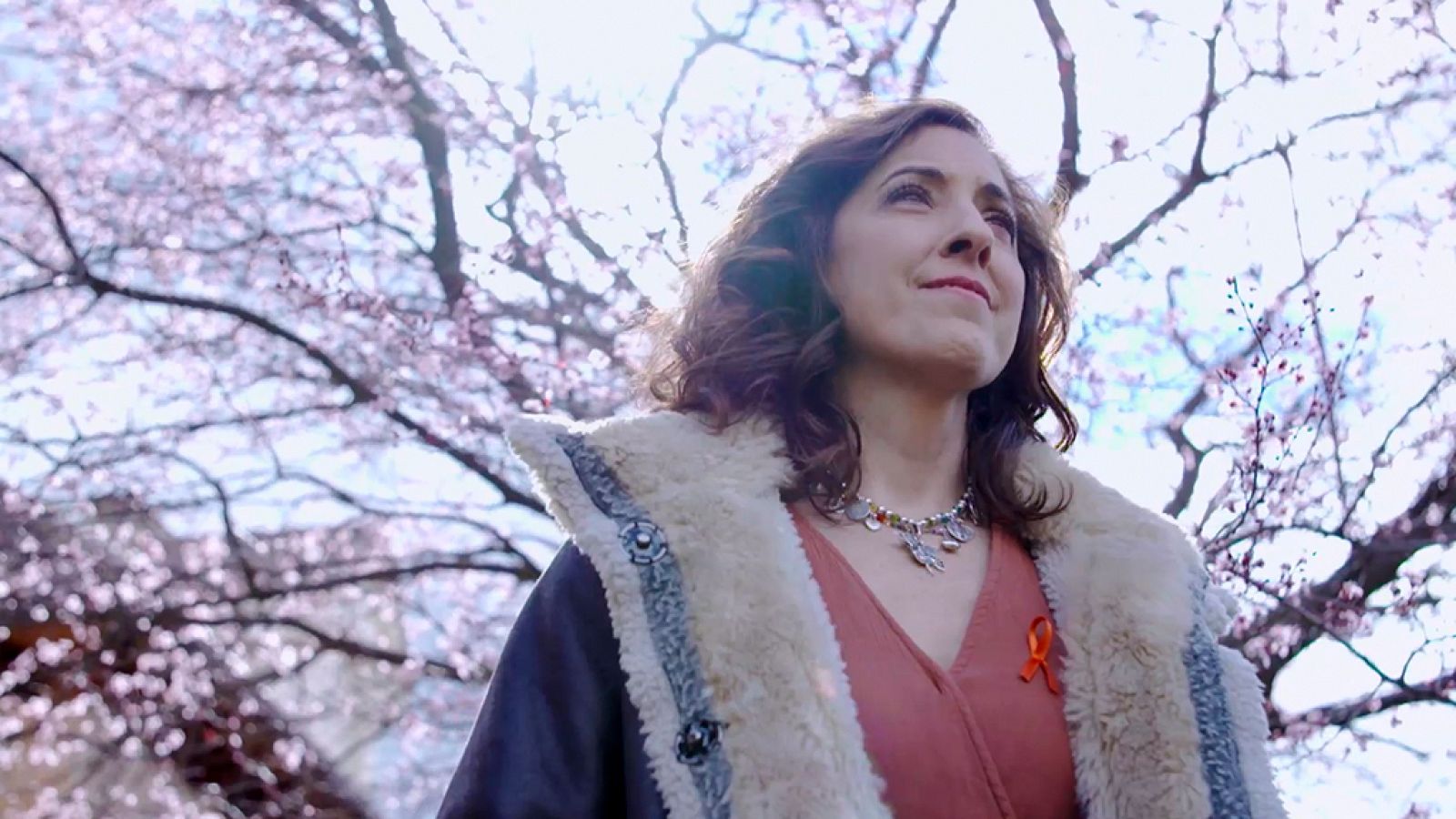 El viaje de un órgano - Ana - ver ahora