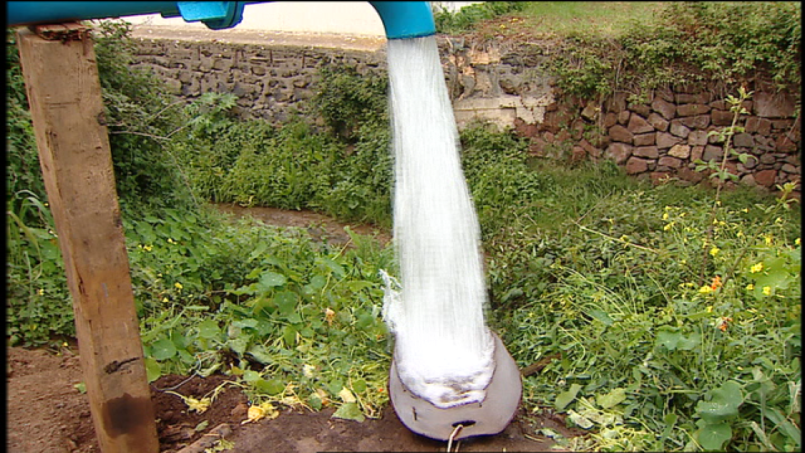 Telecanarias: Telecanarias 2 - 18/02/2019 | RTVE Play