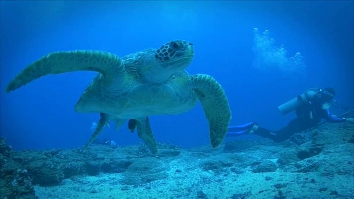 La 2 Noticias - La 2 Noticias - 18/02/19