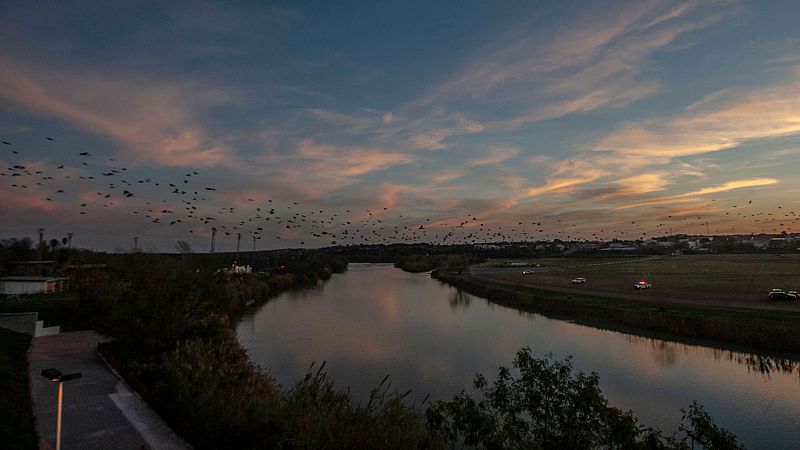 Al menos 600 personas se enfrentan a la expropiación de sus ranchos por el muro de Trump