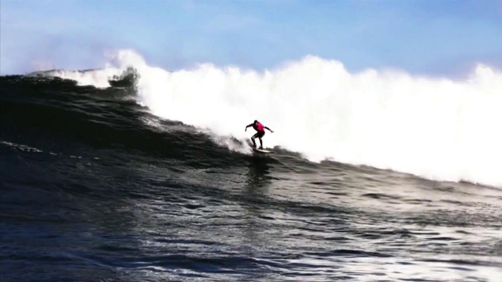 Surf - La vaca gigante 2019 - ver ahora