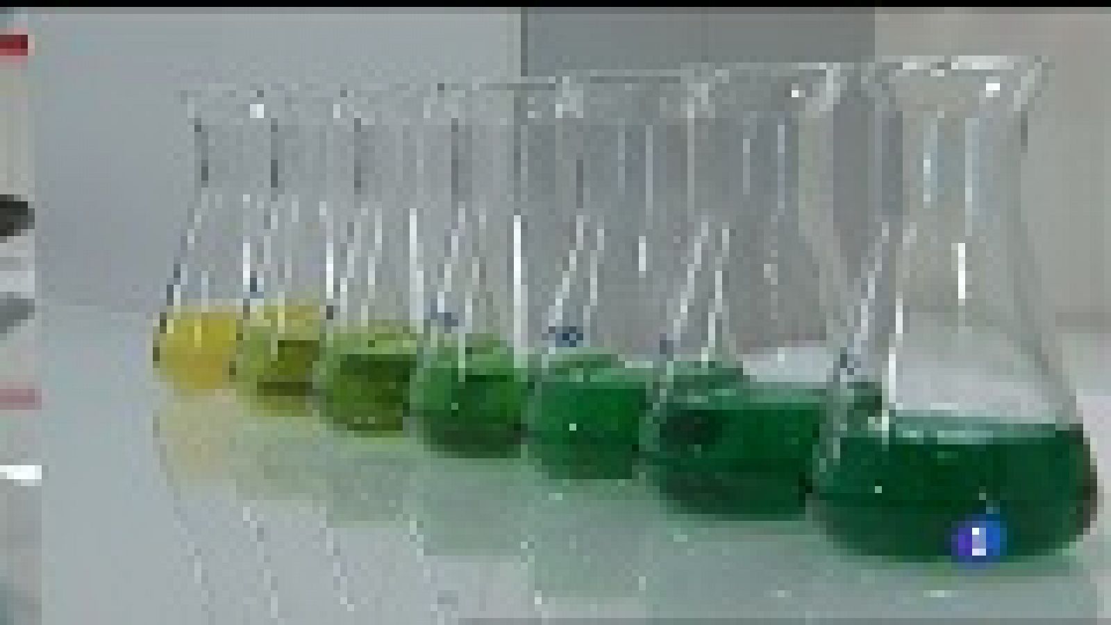 Panorama Regional 2 - 20/02/19 | Ver