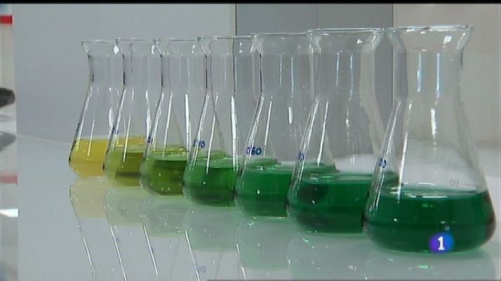 Panorama Regional - Panorama Regional 2 - 20/02/19