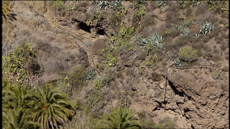  Telecanarias 2 - 20/02/2019