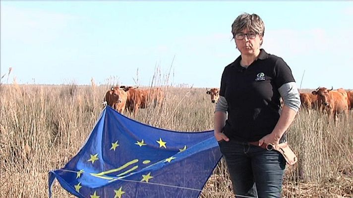 L'informatiu - Comunitat Valenciana - L'Informatiu - Comunitat Valenciana 2 - 21/02/19