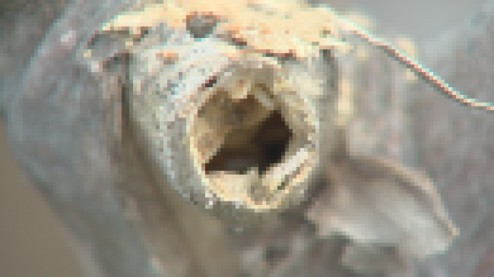 Telecanarias - Telecanarias 2 - 21/02/2019