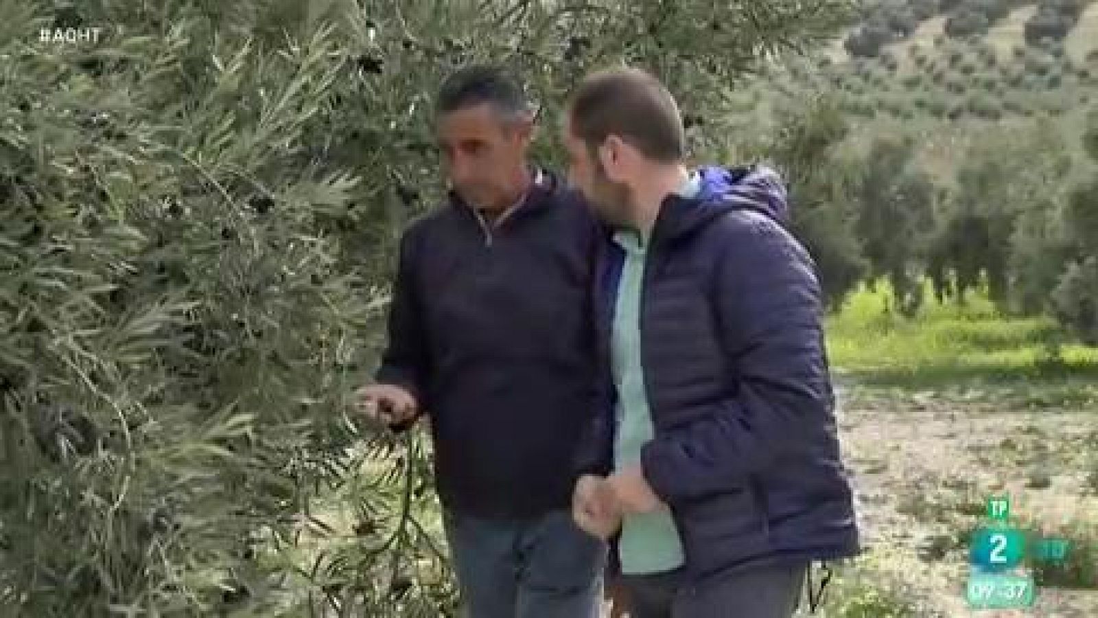 Cultivos tecnológicos - Aquí hay trabajo | Ver