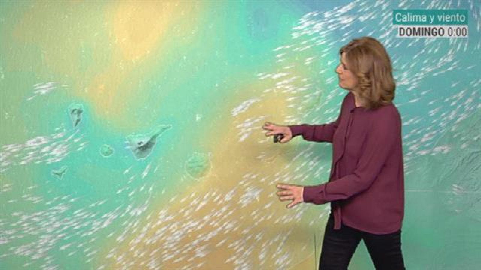 Telecanarias: El tiempo en Canarias - 22/02/2019 | RTVE Play