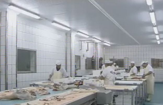  - Rusia levanta el veto al cerdo