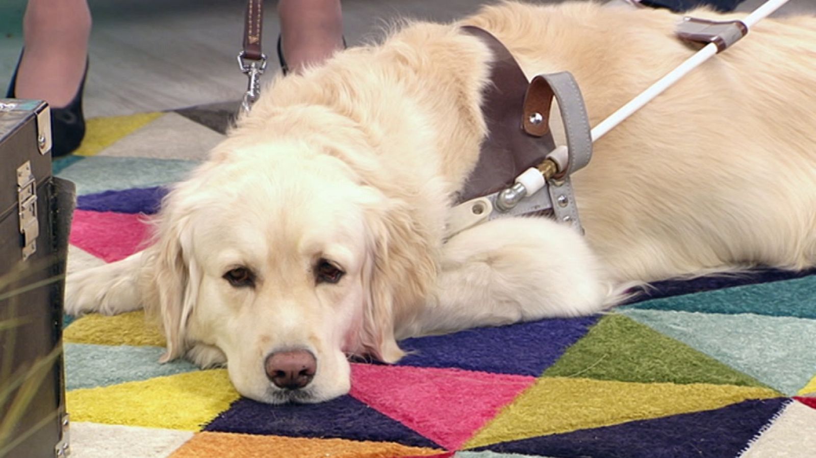 +Cotas - Programa 4 - ver ahora