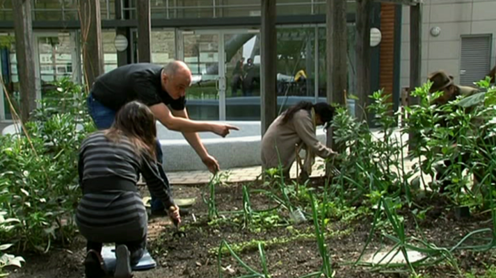 That's English - Module 10 - Unit 6B