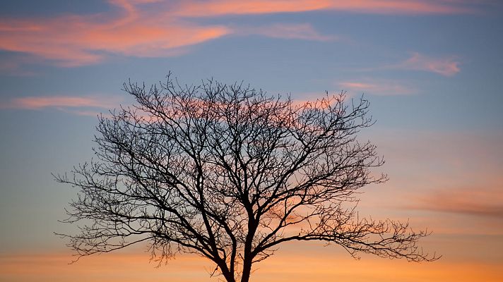 El tiempo - Tiempo estable y poco nuboso