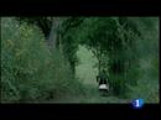  - Nuevos títulos en la cartelera