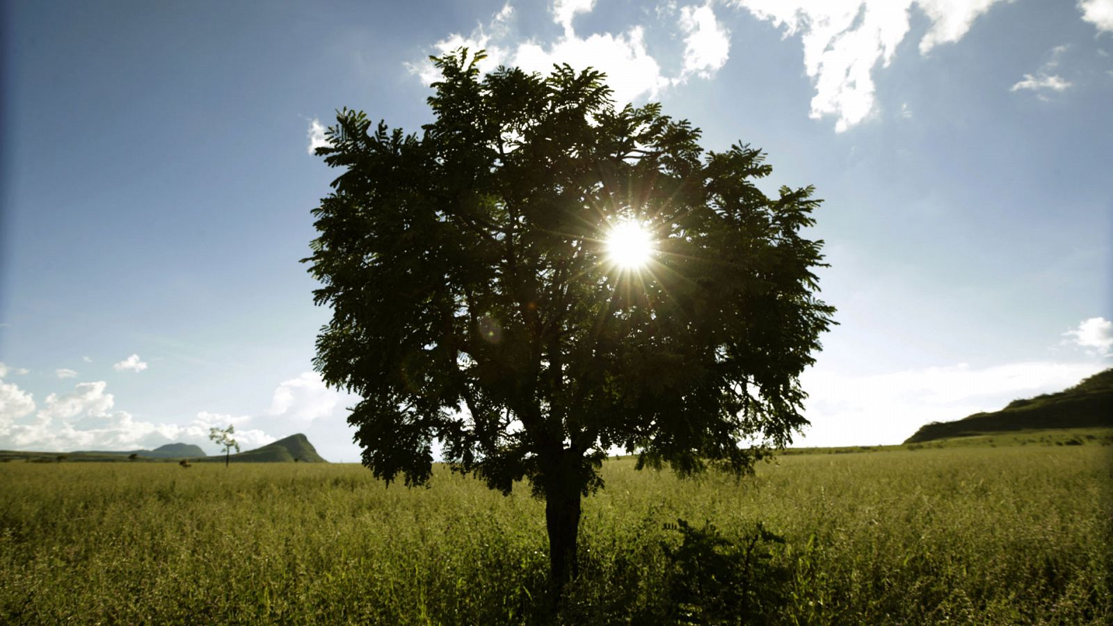 El Tiempo en la Comunidad de Madrid - 25/02/19 - ver ahora