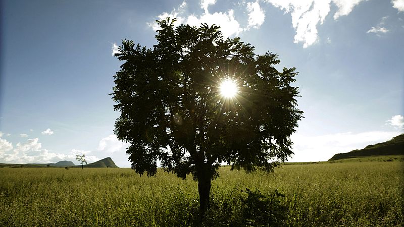 El Tiempo en la Comunidad de Madrid - 25/02/19 - ver ahora
