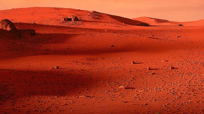 Telediario 1 - La patata, un alimento ideal para cultivar en Marte