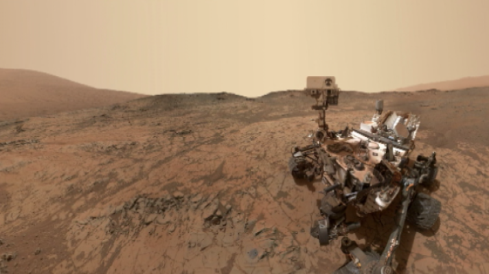 Teleplaneta - Teleplaneta - 25/02/2019