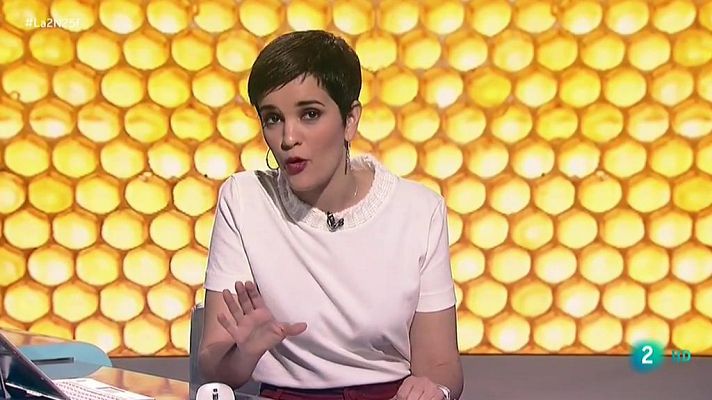 La 2 Noticias - Encuentran la abeja 'wallace'