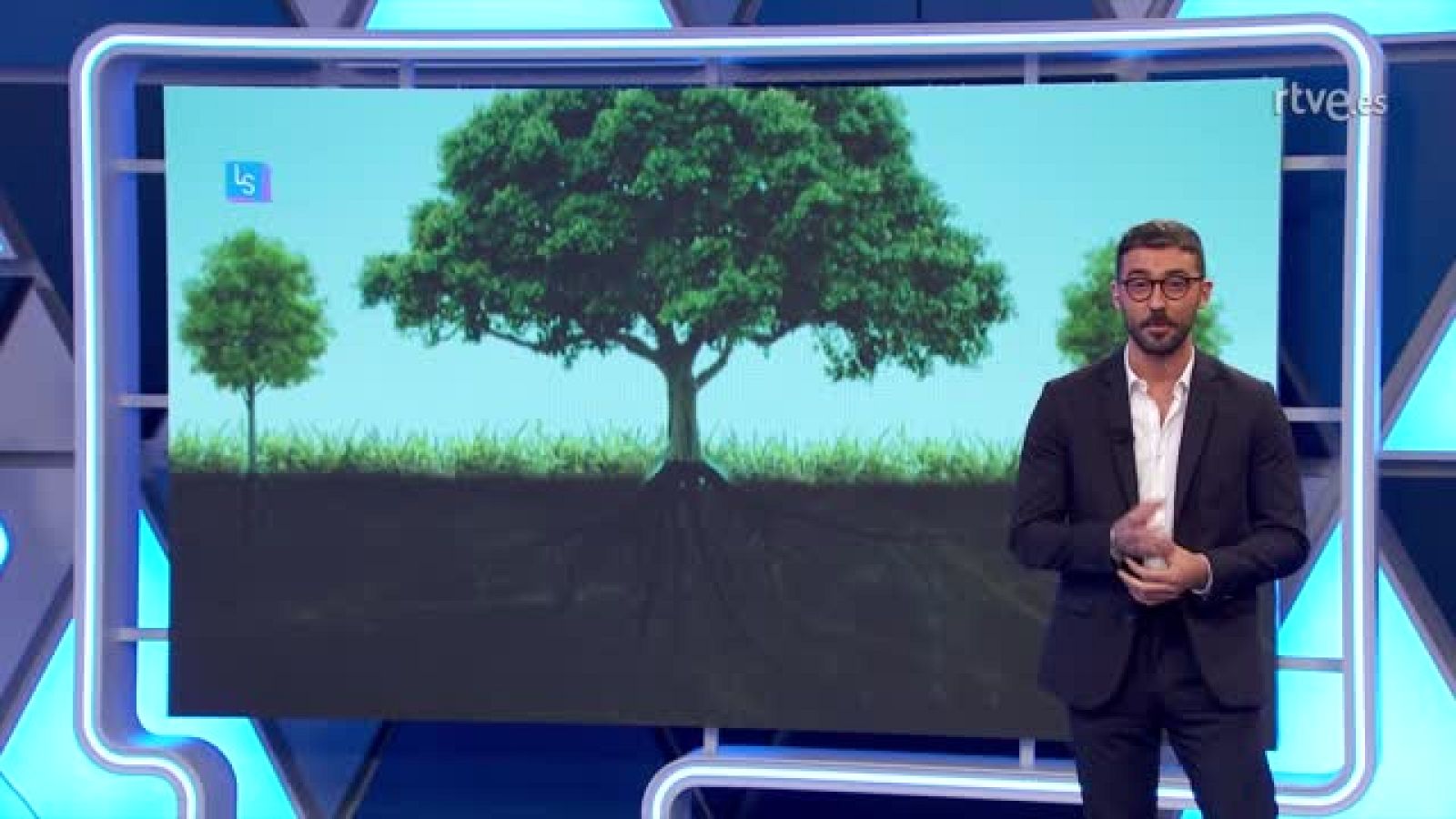 Lo Siguiente - Los árboles se comunican entre ellos - Lo siguiente | Ver