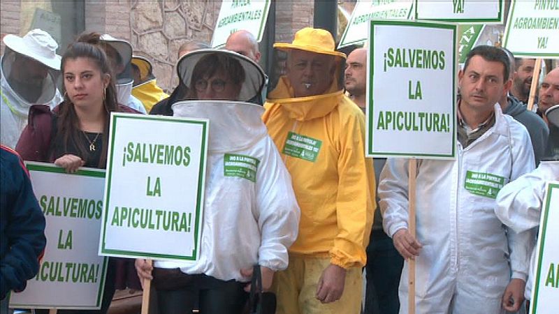 La Comunidad Valenciana en 2' - 26/02/19 - ver ahora