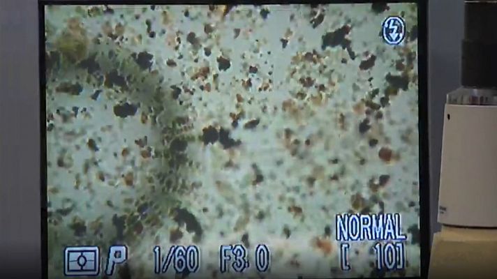  - Varias ciudades españolas activan medidas anticontaminación al superarse los límites de partículas en el aire