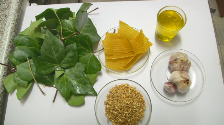 Aquí la Tierra - Aquí la Tierra - 26/02/19