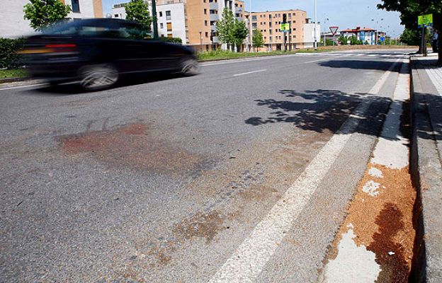  - Una mujer muere apuñalada en Irún
