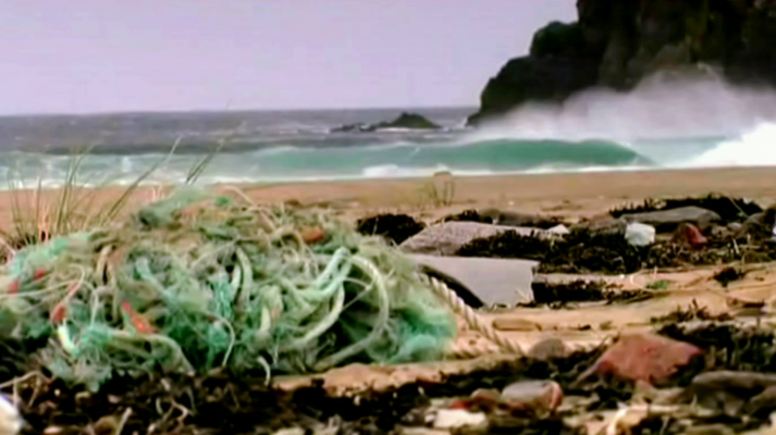 That's English - Module 4 - Unit 7B