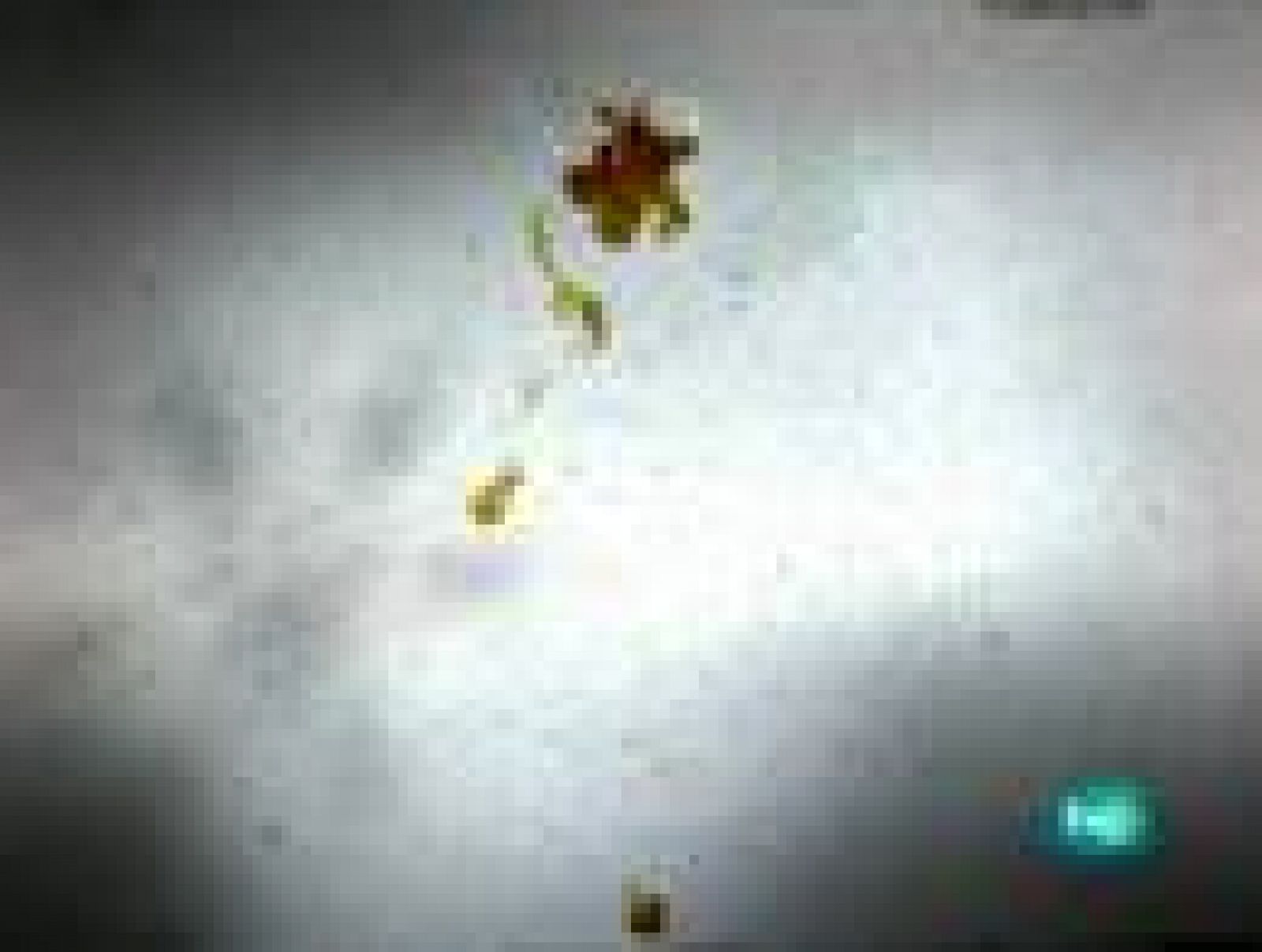 tres14 - Al límite - tres14 | Ver