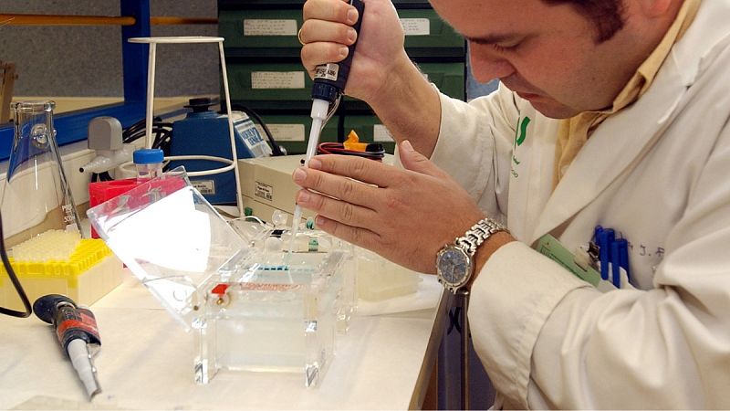 La nueva terapia celular mejorará la calidad de vida de pacientes con lesión medular