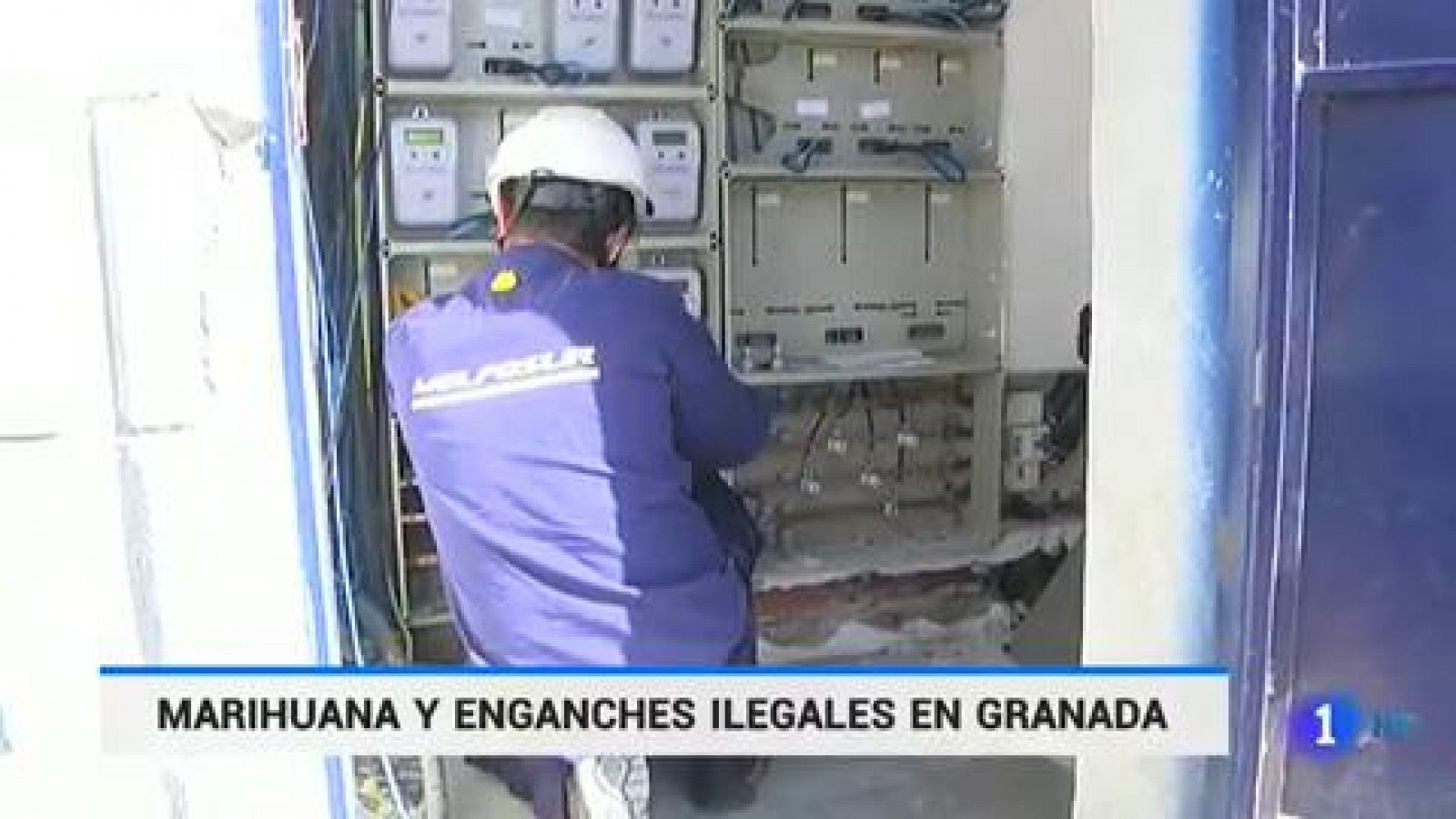 Telediario 1: Las plantaciones de marihuana funden la red eléctrica de Granada | RTVE Play