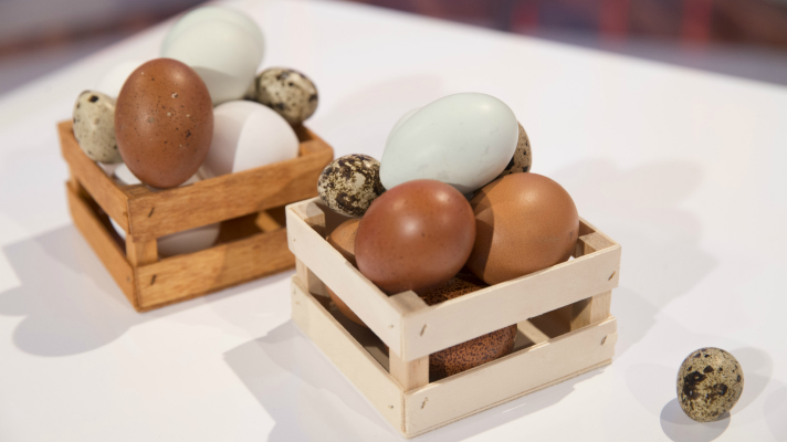 Saber vivir - La importancia de las proteínas en nuestra dieta