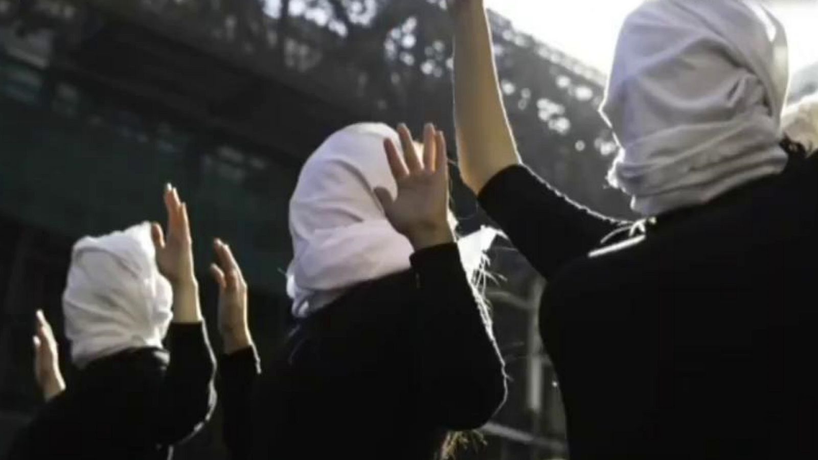 Cámara abierta - La caverna digital, Aquae Campus, Héroes (F. Microfinanzas BBVA)... - ver ahora