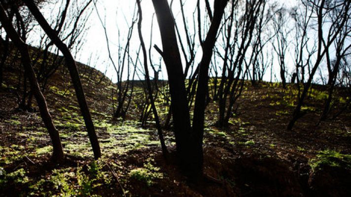 Vientos fuertes con rachas muy fuertes en el noroeste de Galicia 