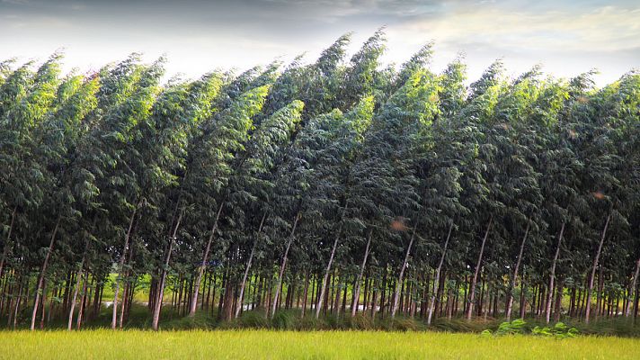 El tiempo - Vientos fuertes y posibilidad de chubasco