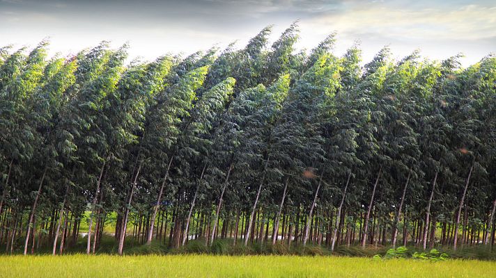 El tiempo - Vientos fuertes y posibilidad de chubasco