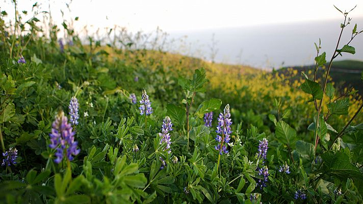 Informativo de Madrid - El Tiempo en la Comunidad de Madrid - 04/03/19