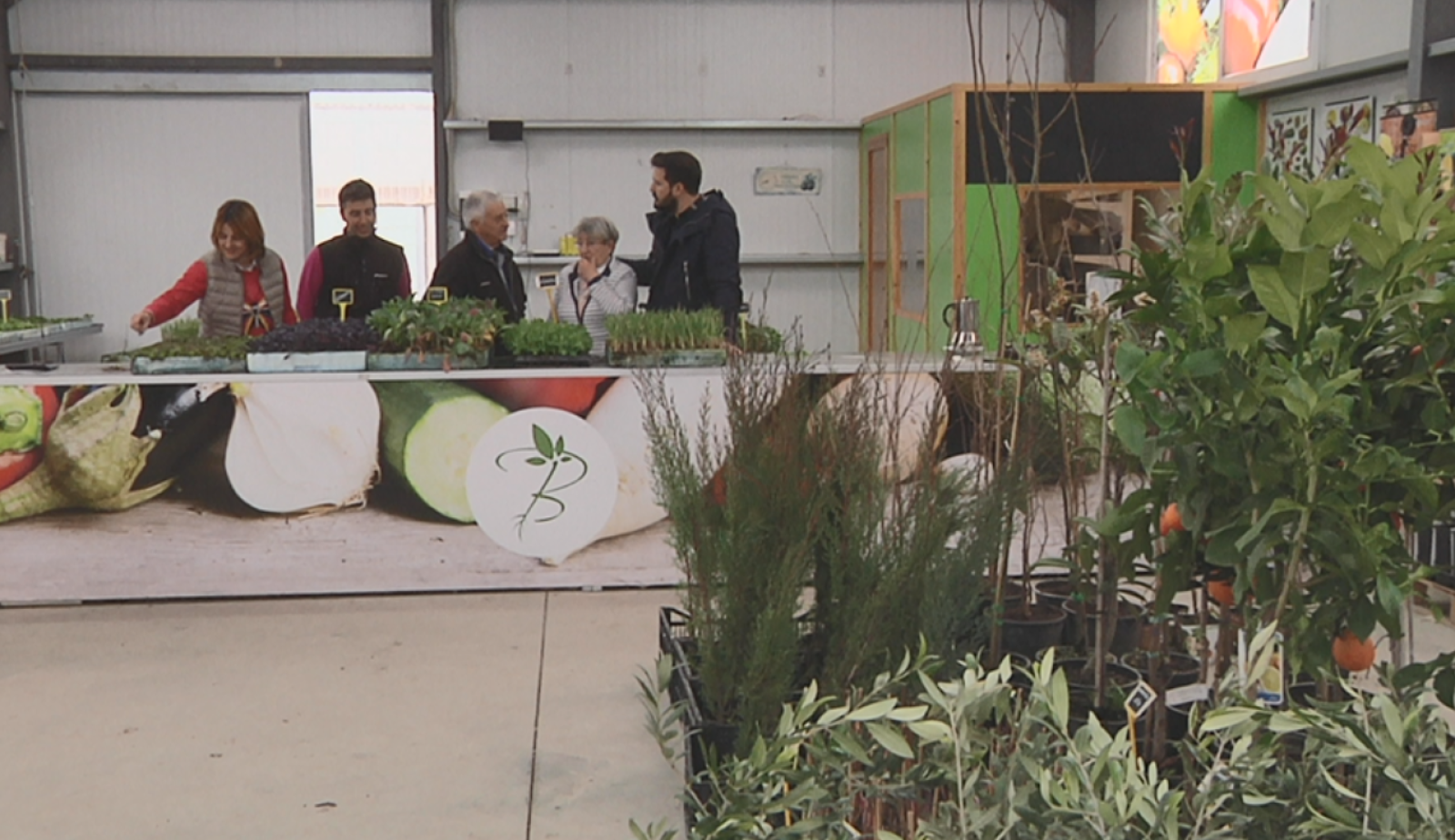 Semilleros, el origen de todo