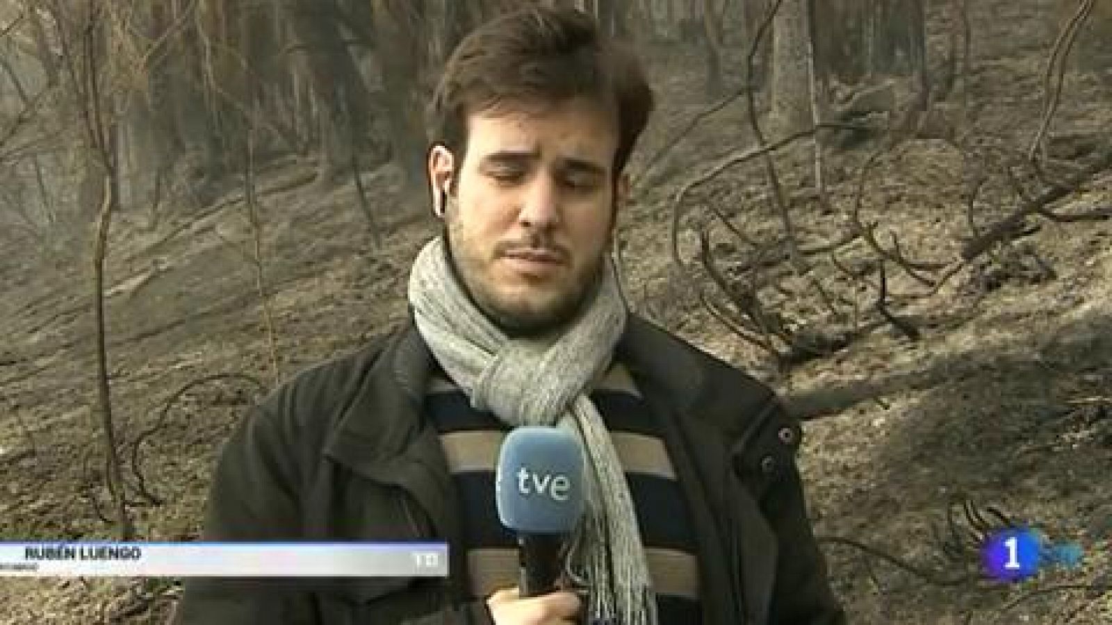 Incendios - El norte de España lucha contra el fuego - RTVE.es