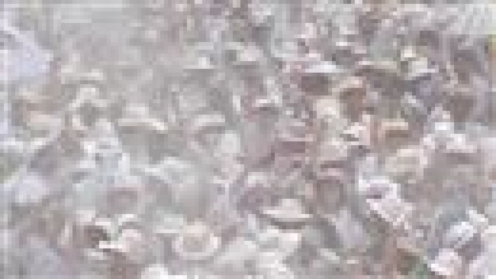 Telecanarias - 04/03/2019