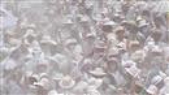 Telecanarias - Telecanarias - 04/03/2019