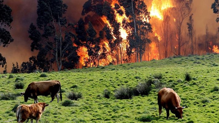 España Directo - España Directo - 04/03/19