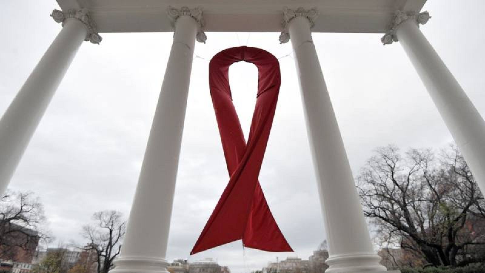 Vídeo: Eliminan el VIH en un paciente de Londres - RTVE.es