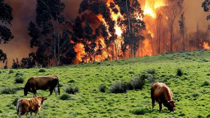 Telediario 1 - Una veintena de incendios continúan activos