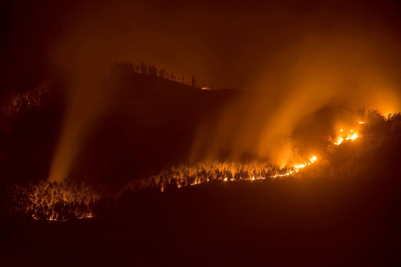 Telediario 1: El 80% de los incendios ocurridos entre 2015 y 2017 en Asturias fueron intencionados | RTVE Play