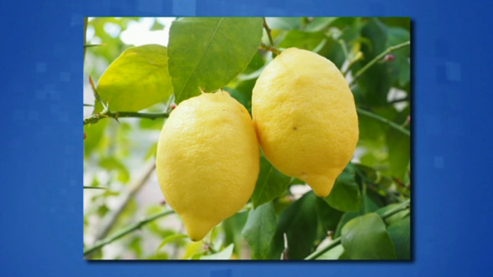 Saber y ganar - Saber y ganar - 05/03/19