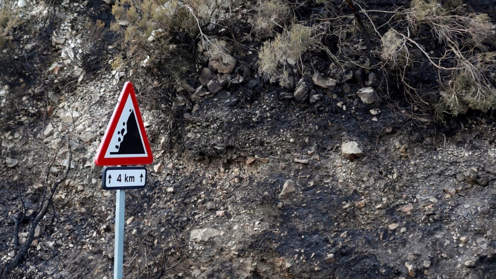 España Directo - 05/03/19 - ver ahora